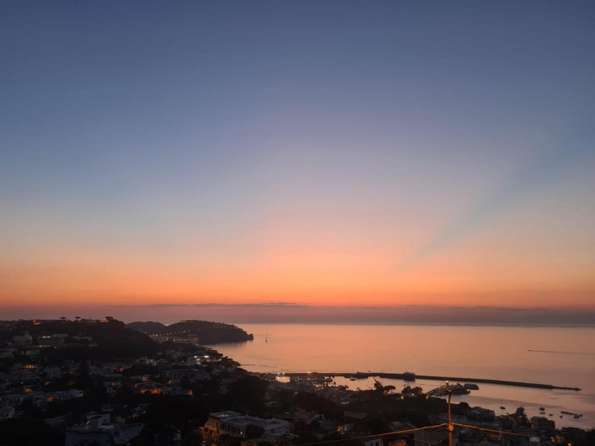 Dodohome * Ischia